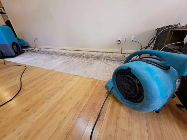 Professional Basement Flood Cleanup technician working in Slab Fork, WV